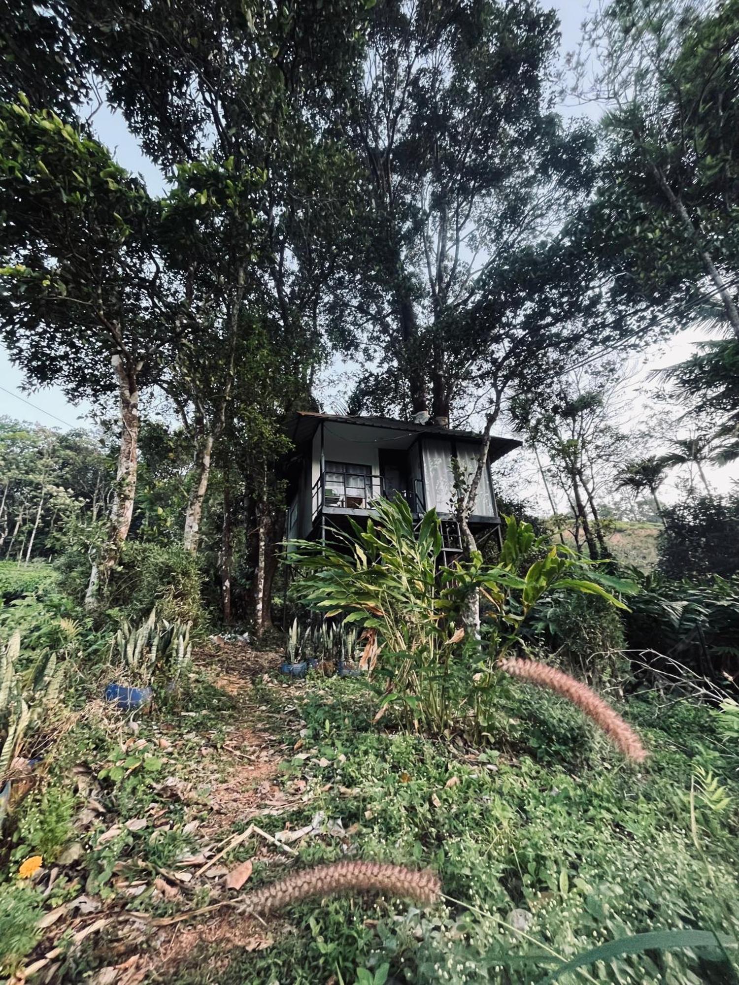 Silent House Villa Kudayattur Kültér fotó