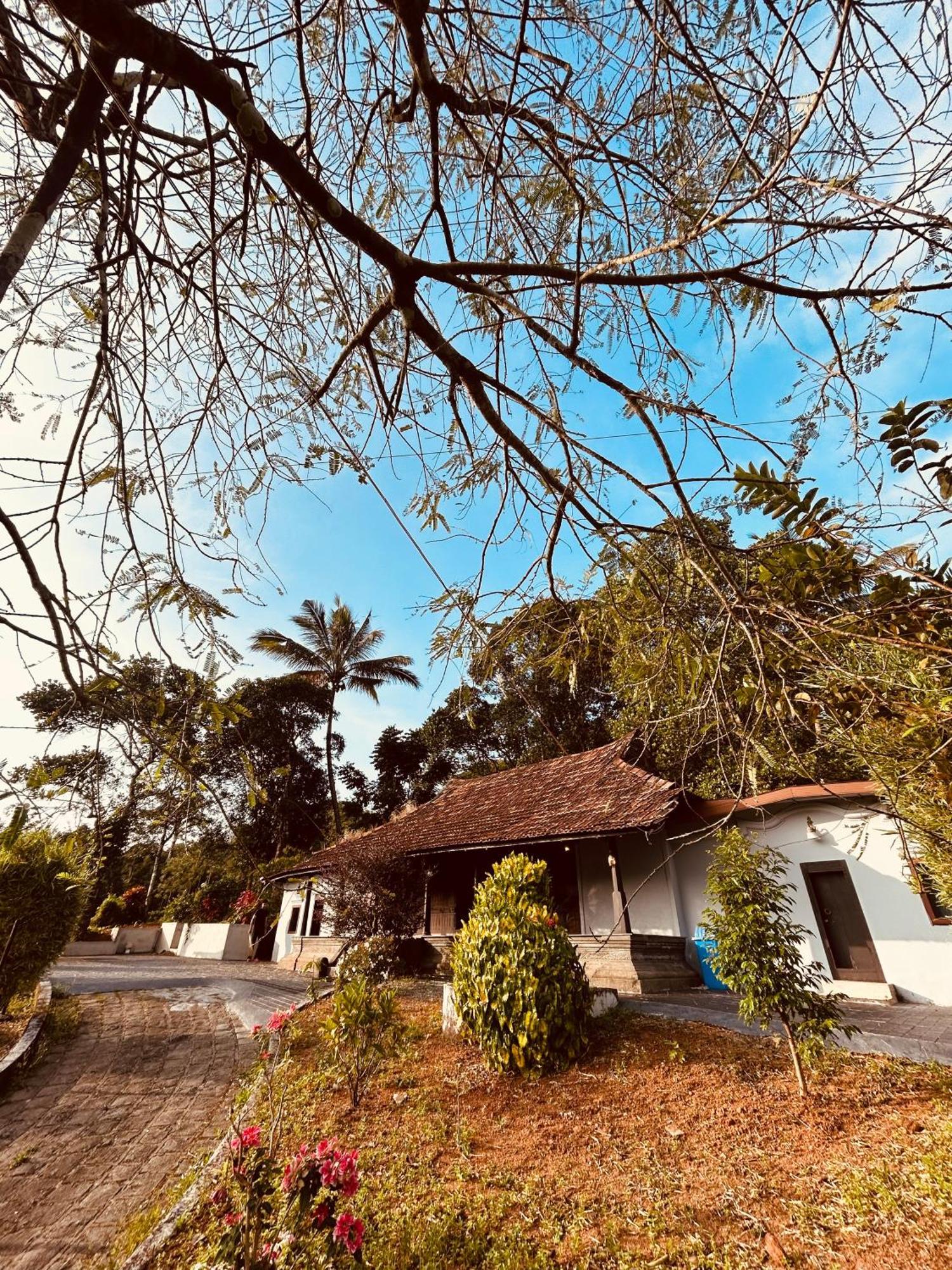 Silent House Villa Kudayattur Kültér fotó